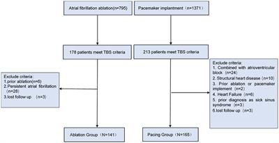 Risk Stratification for Atrial Fibrillation and Outcomes in Tachycardia-Bradycardia Syndrome: Ablation vs. Pacing